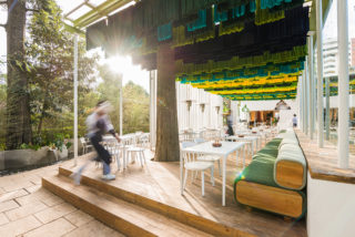 Zone 14 Canopy. Credit: Andres Asturias.