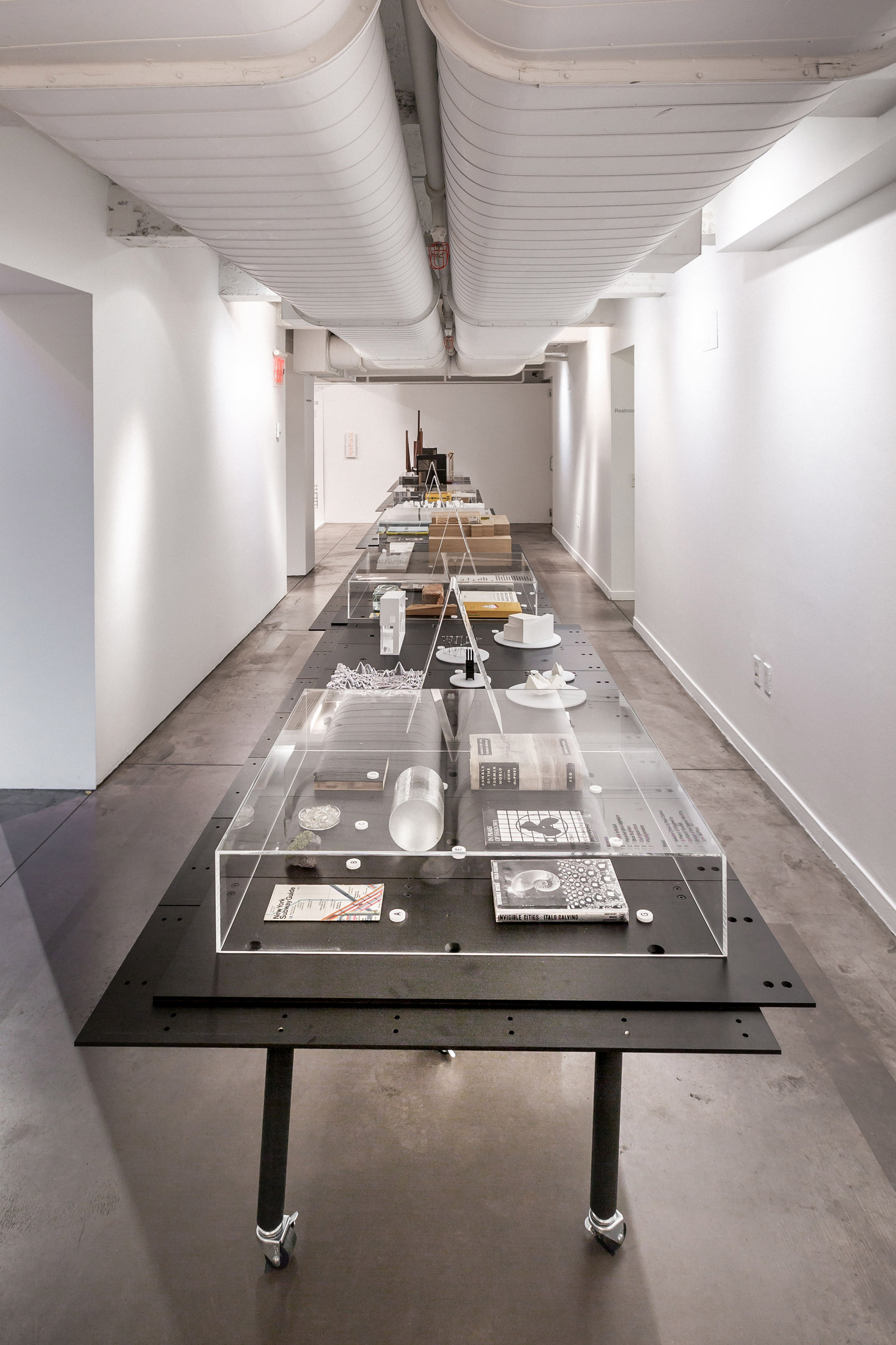 Installation view, New Practices New York 2018. Photo: Erik Bardin.