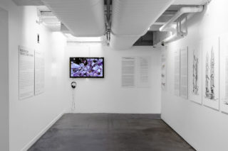 Installation view, 2018. Photo: Erik Bardin.