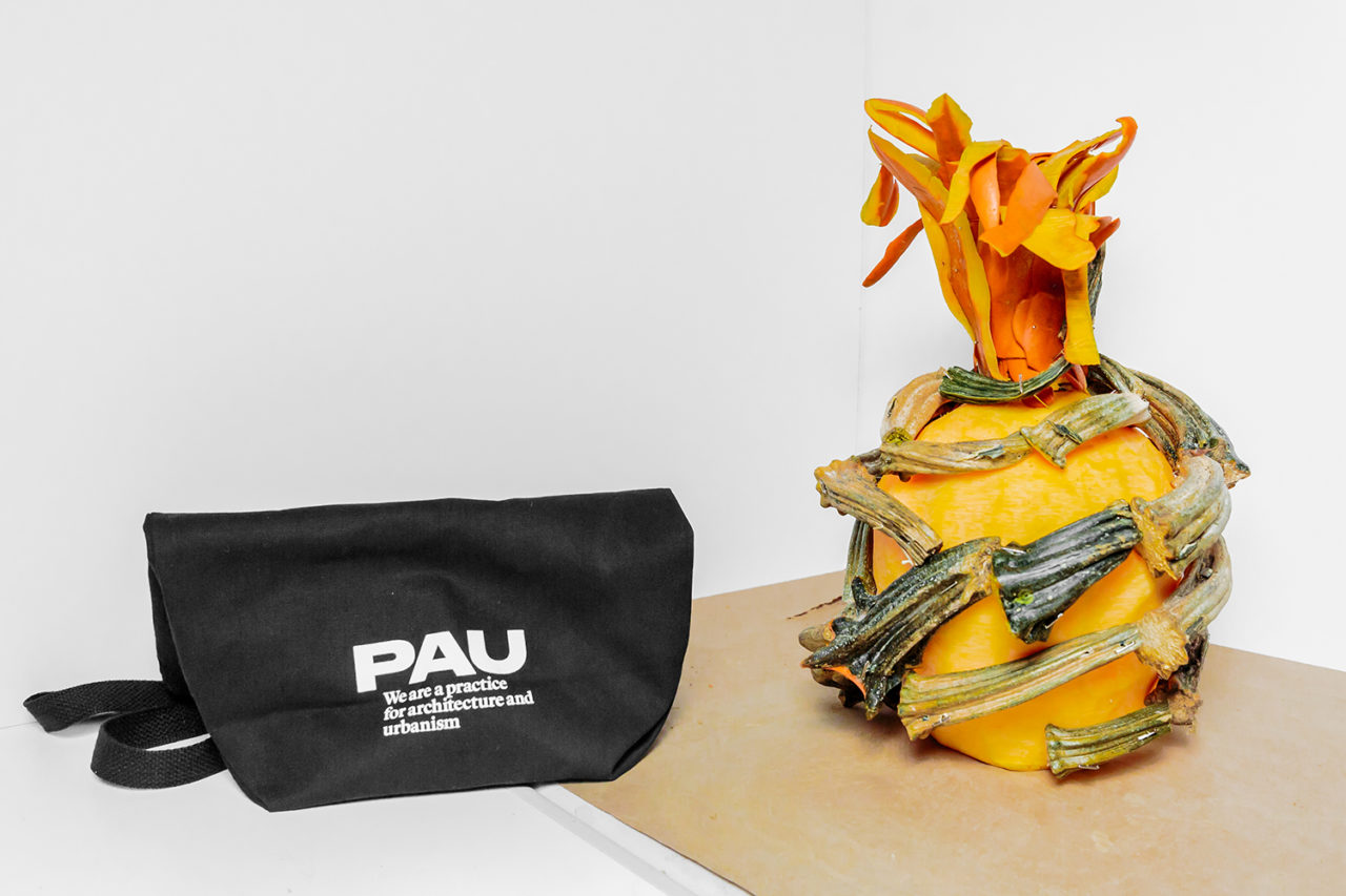 Pathetic Consolations (Honorable Mentions) - Most Poetic: Practice for Architecture and Urbanism | PAU. Credit: Erik Bardin.