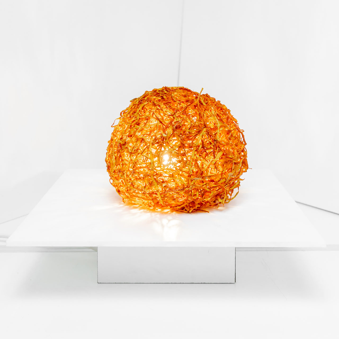 People's Pumpkin and Pretentioulicious Winner: SITU. Credit: Erik Bardin.