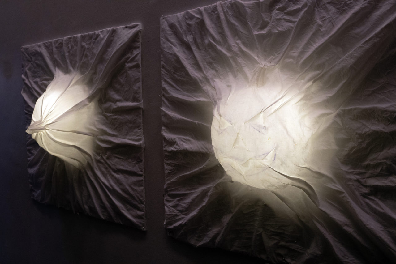 Bernheimer's pumpkin ghosts. Image credit: Sam Lahoz.