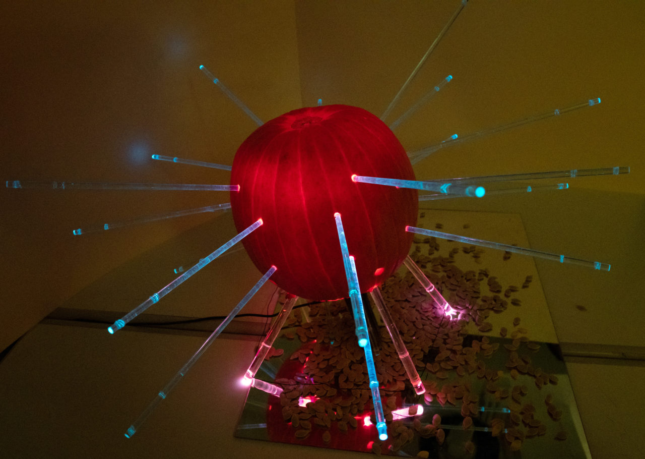 Ennead's pulsating glowstick pumpkin. Image credit: Sam Lahoz.