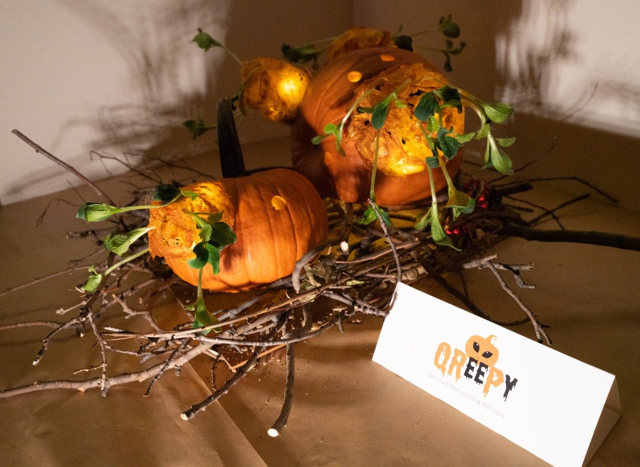 QRP's winning bulbous pumpkin seedling creation. Image credit: Sam Lahoz.