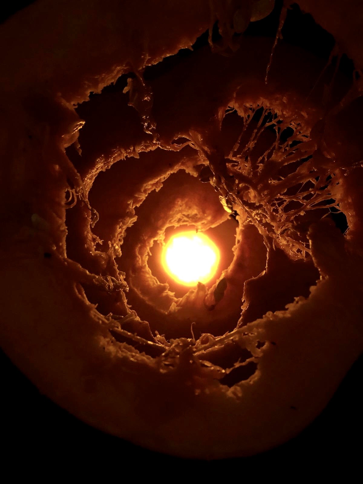 Raad Studio's gruesome pumpkin section. Teams carve at Pumpkitecture 2019. Image courtesy of Raad.