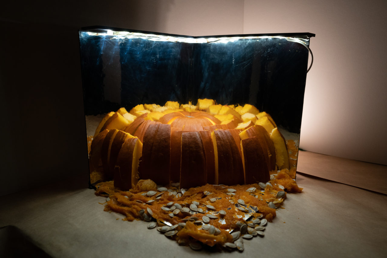 Rogers Partners optical illusion. Teams carve at Pumpkitecture 2019. Image credit: Sam Lahoz.