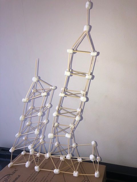 3rd grade students from PS 52K learned about Skyscraper Design and put their new knowledge to the test by building their own structural frames using toothpicks, marshmallows, and spaghetti. Images courtesy of students.