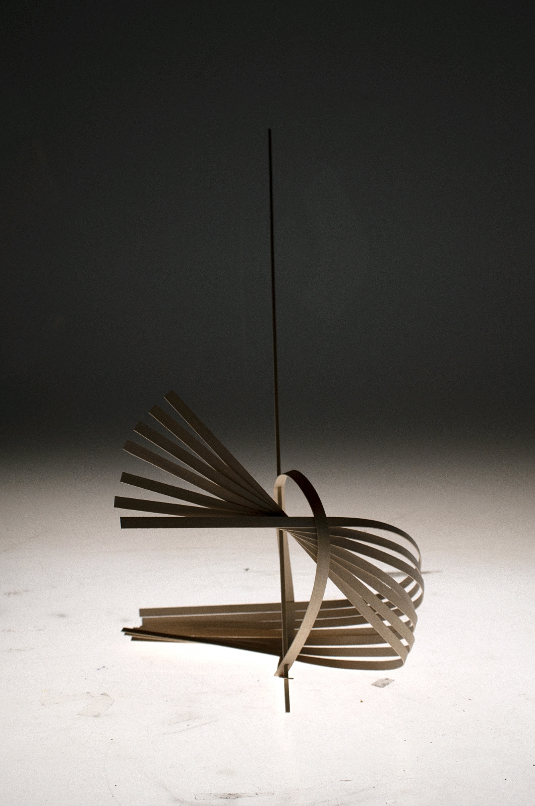 Tensile Structure 2, Anjelica S. Gallegos