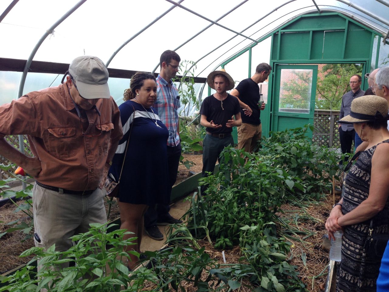 The Collaborative has partnered with the Overbrook Environmental Education Center on several projects. Pictured here are Collaborative supporters touring the West Philadelphia greenhouse and site, once a brown abandoned lot.