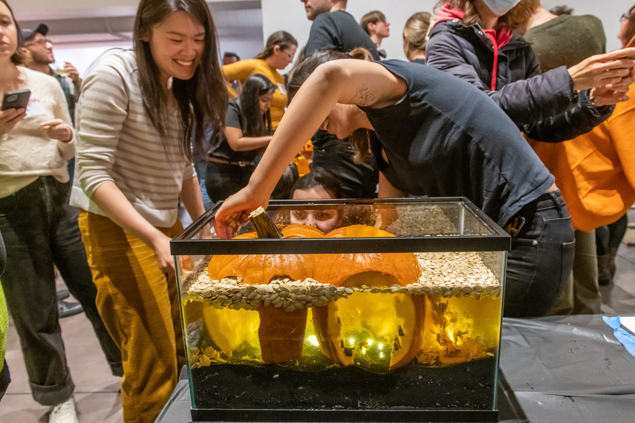 Andrew Franz Architect's Grotto-esque. Photo: Matthew Carasella Photography.