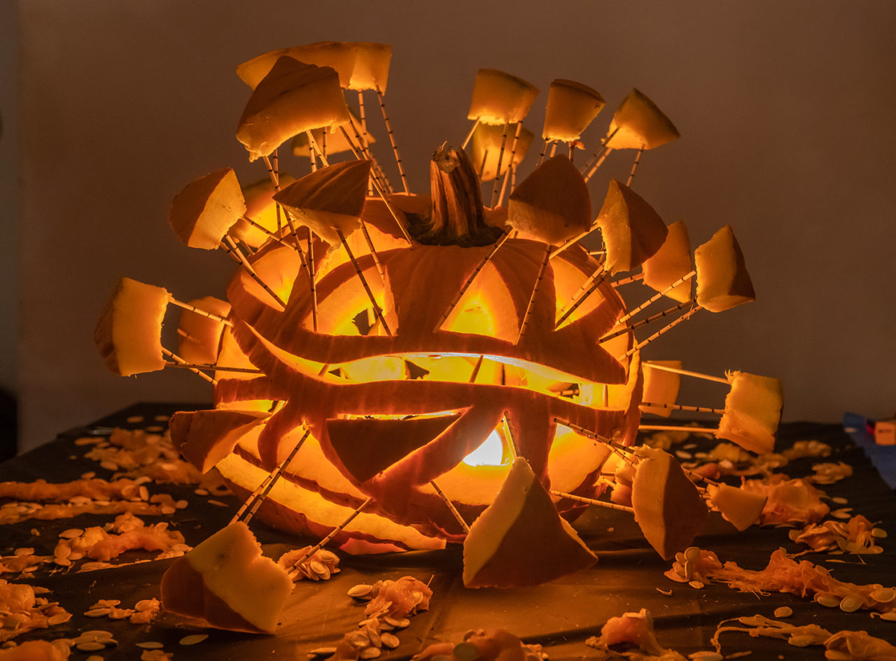 MdeAs Architects' exploded pumpkin. Photo: Matthew Carasella Photography.