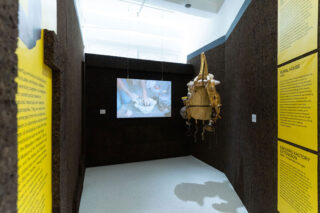 Generation Proxima gallery installation