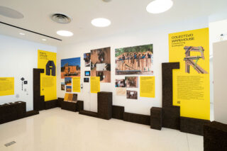 Generation Proxima gallery installation