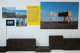 Generation Proxima gallery installation