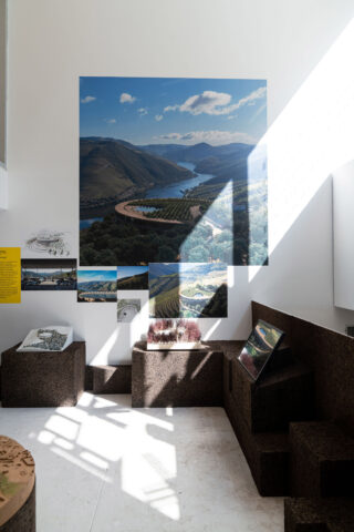 Generation Proxima gallery installation