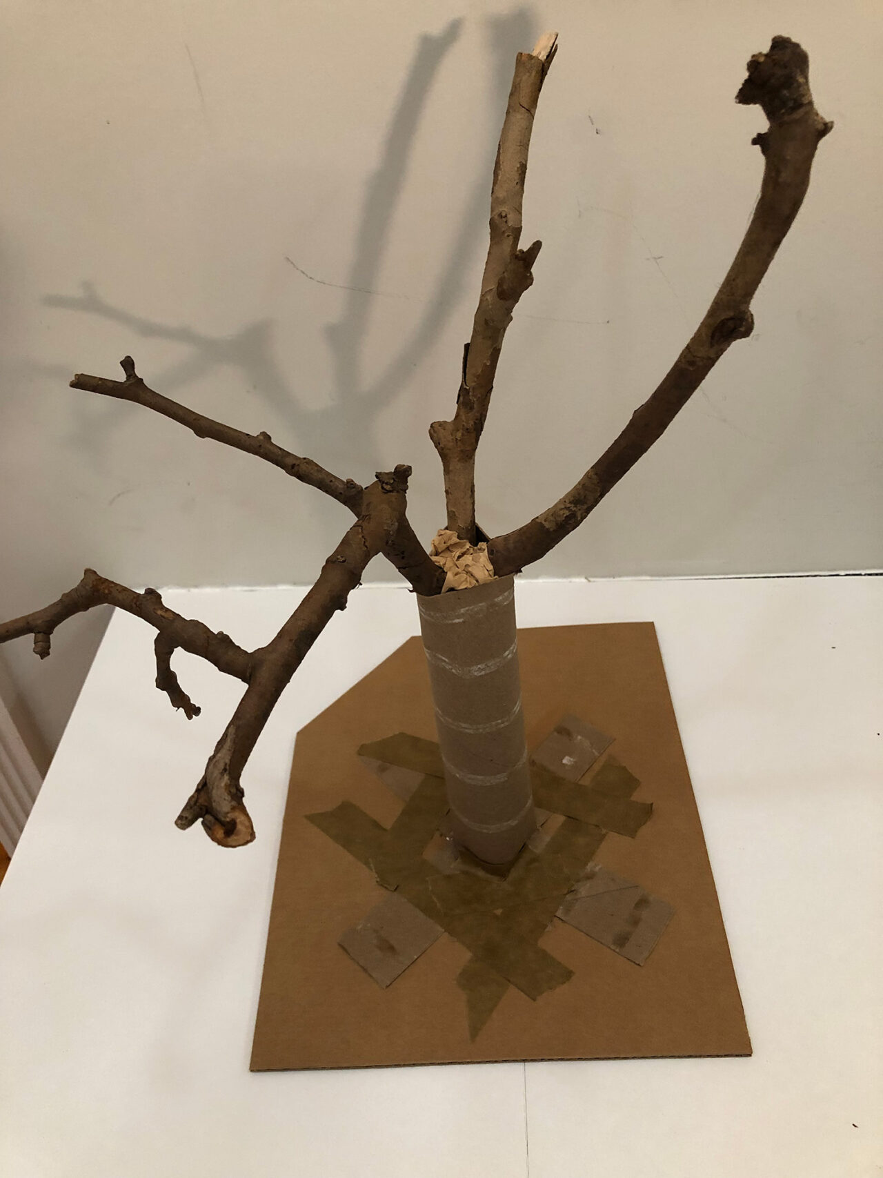Tree branches are taped together to form a bouquet within a cardboard tube, on a cardboard base.