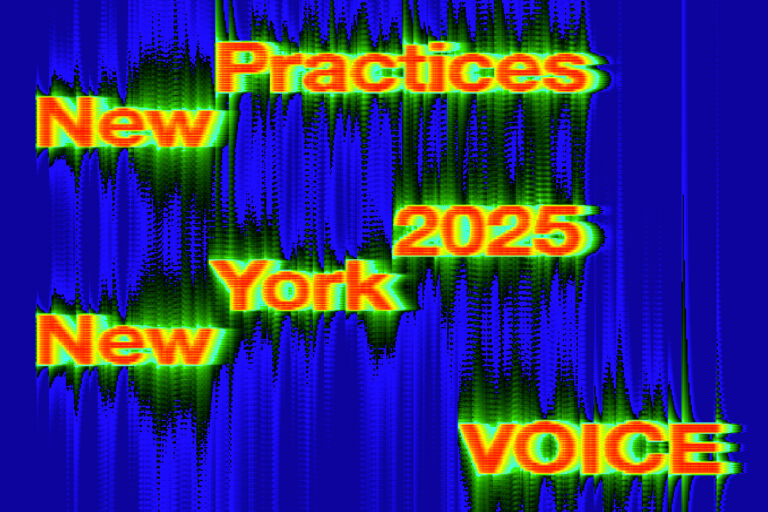 New Practices New York 2025: Voice graphic identity