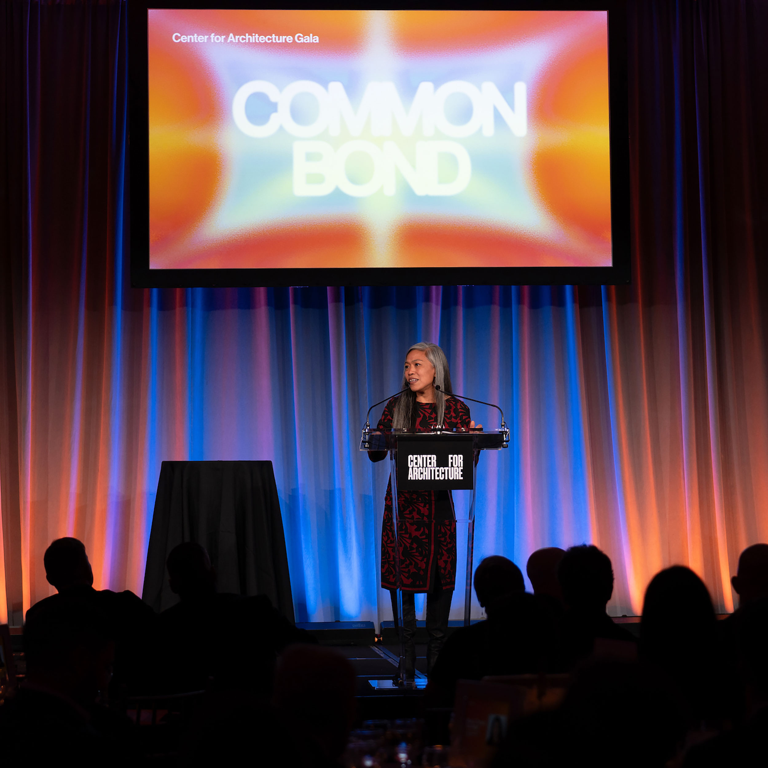 Common Bond 2025 with honoree Maria Torres-Springer speaking at the podium