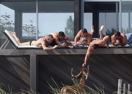 Men sunbathing and feeding a deer in front of a Midcentury Modern Home