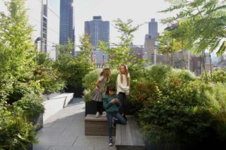 Image Children standing on a green roof